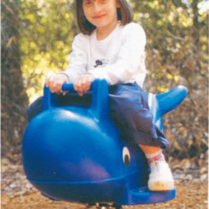 Rocking horse